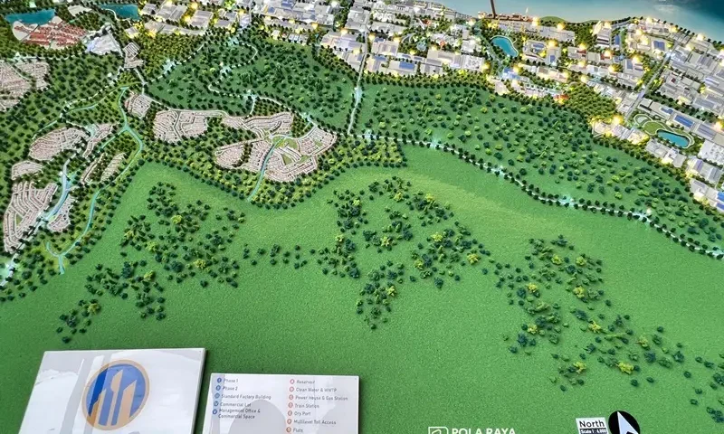 jasa maket pola raya studio